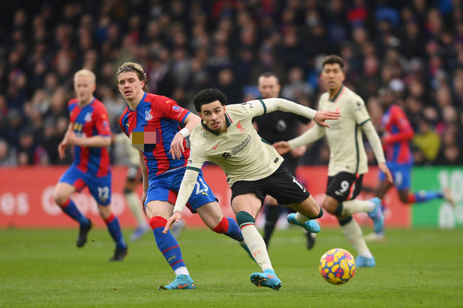 尤其是面对 尤其是面对